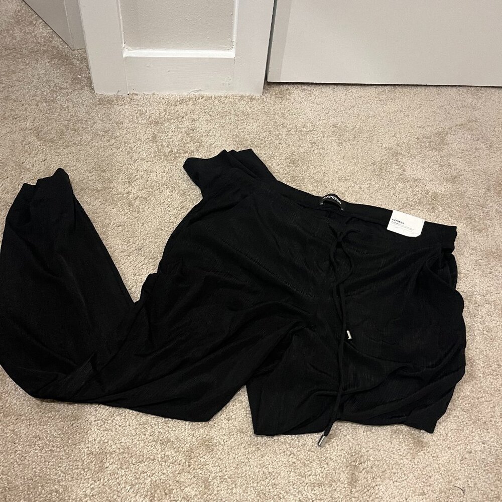 🐜 NWT Express Black Pants!